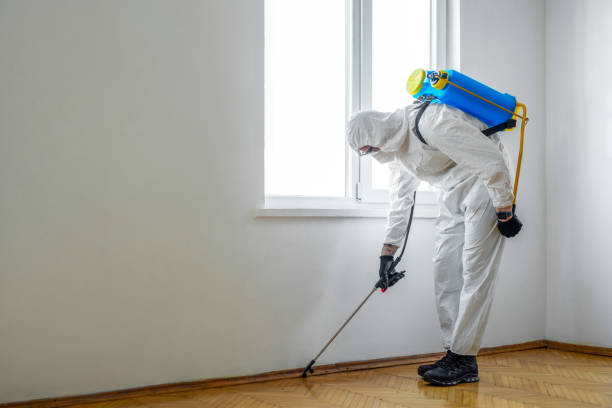 Best Termite Inspection and Treatment  in Hamburg, IA